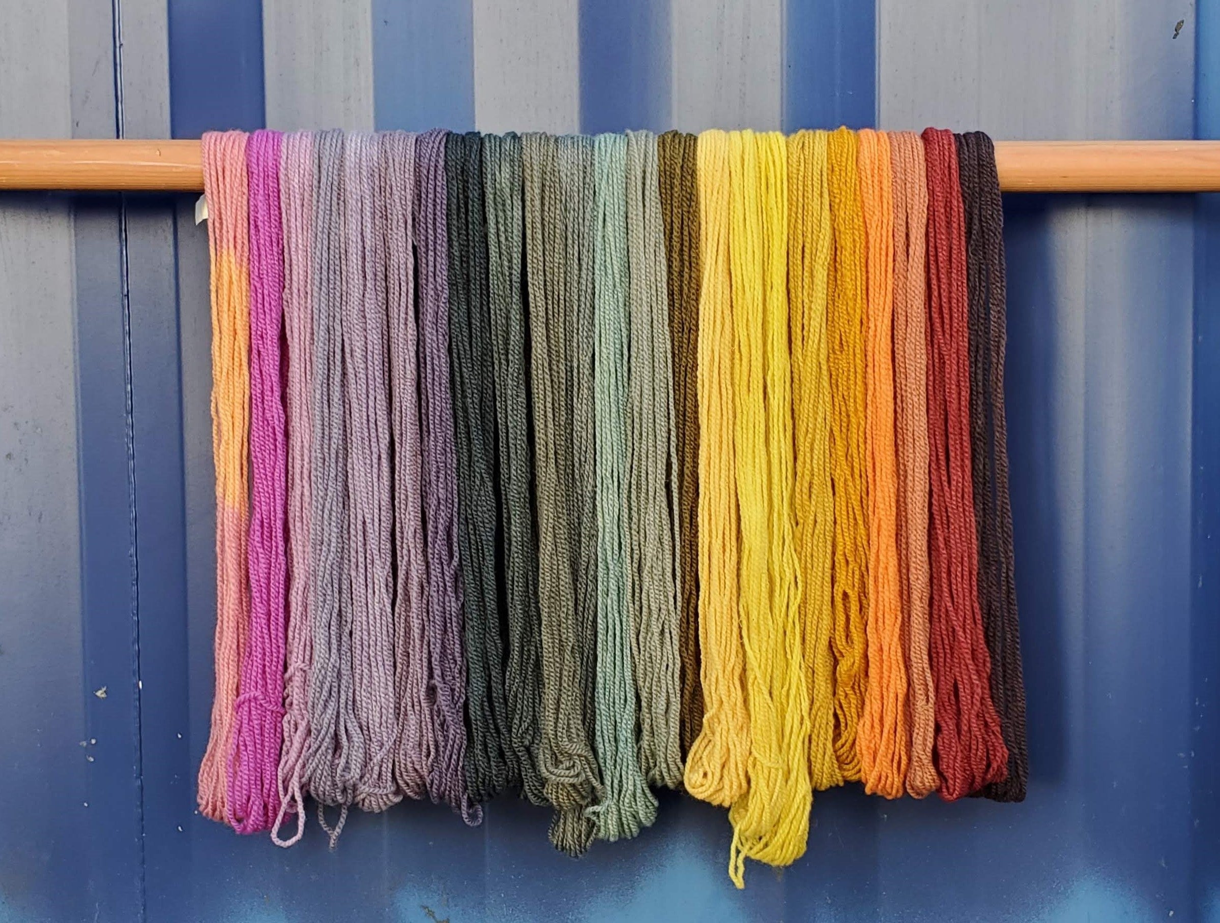 mushroom and lichen dye palettes