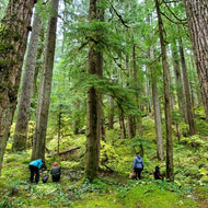 Orcas Island, WA <BR> Moran State Park Environmental Retreat Center <BR> October 27-29th, 2023 <BR> Brought to you by Wonder Camp hosted by San Juan Makers Guild