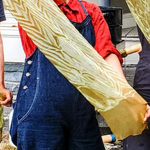 Sisters, Oregon<BR>September 19th-20th, 2026 <BR> Brought to you by Pine Meadow Ranch Center for Arts and Agriculture <BR>Exploring the Mushroom and Lichen Dye Palette of Central Oregon