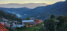 MyColores: Sierra Norte in the northern mountains of Oaxaca, MX <BR> August 28-September 5, 2024 <BR>Hosted by The Fungivore