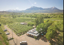 Hotchkiss, Colorado <BR>September 12–13, 2026 <BR> Stix & Stones Yarn Shop presents: Mushroom and Lichen Dyeing with  Fungi of the Rockies