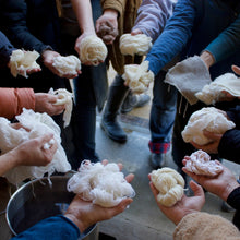 Point Reyes Station, CA<BR> April 26-28,2024 <BR> At Fibershed Learning Center <BR> Unveiling Rainbows: Exploring the Northern California Fungal Fibershed