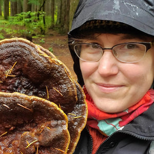 Filling FAST! <BR>Port Angeles, WA<BR>May 18, 2024 <BR> Port Angeles Fine Arts Center<BR> Celebrating Regional Dye Palettes: Exploring Wild Mushrooms and Lichens for Dyes