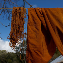 Point Reyes Station, CA<BR> April 26-28,2024 <BR> At Fibershed Learning Center <BR> Unveiling Rainbows: Exploring the Northern California Fungal Fibershed