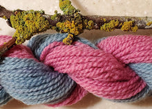 Hotchkiss, Colorado <BR>September 12–13, 2026 <BR> Stix & Stones Yarn Shop presents: Mushroom and Lichen Dyeing with  Fungi of the Rockies