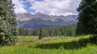 Denver Area <BR> May 6, 2023 <BR> Staunton State Park - Pine, Colorado <BR> Hosted by the Colorado Mycological Society <BR> An Introduction to Mushroom and Lichen Dyes