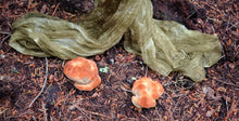 Flagstaff, Arizona <BR>June 2-3, 2023 <BR>Flagwool and Fiber Festival <BR>Exploring the Mushroom and Lichen Dye Rainbow of Arizona